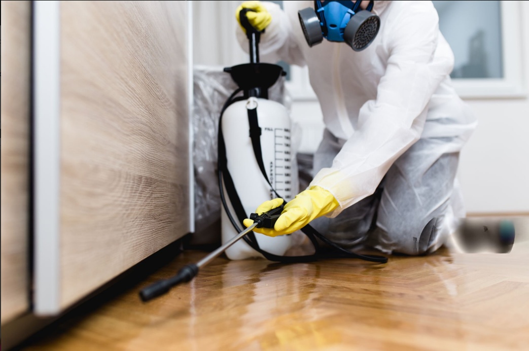 Monsoon Pest Control Tips